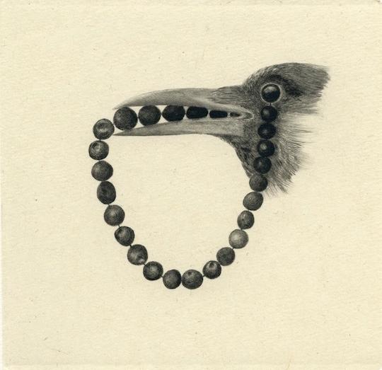 Fågelns pärlband
